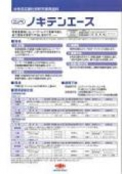 ニッペ　ノキテンエース